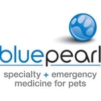 Blue Pearl